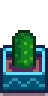 Planta de temporada