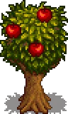 Grown Tree