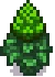 Grown Crop