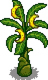 Grown Tree