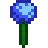 Allium azul