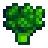 Brócoli