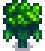 Grown Crop