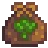 Seed