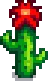 Grown Crop