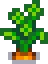 Grown Crop