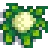 Grown Crop
