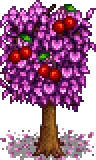 Grown Tree