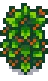 Grown Crop
