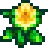 daffodil