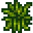 Fibra vegetal