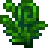 fiddlehead_fern