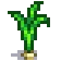 Grown Crop
