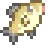 Pez fantasma