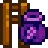 Seed