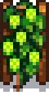 Grown Crop