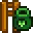Seed