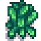 Grown Crop