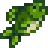 Perca