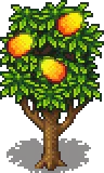 Grown Tree