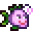 Sra. Angler