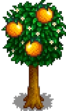 Grown Tree