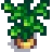 Grown Crop