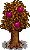 Grown Tree