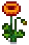 Grown Crop