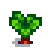 Grown Crop