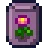 Seed