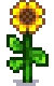 Grown Crop