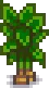 Grown Crop