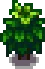 Grown Crop