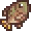 Tilapia
