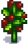 Grown Crop