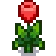 Grown Crop