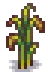 Grown Crop