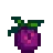 wild_plum