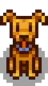 Perro