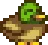 Pato